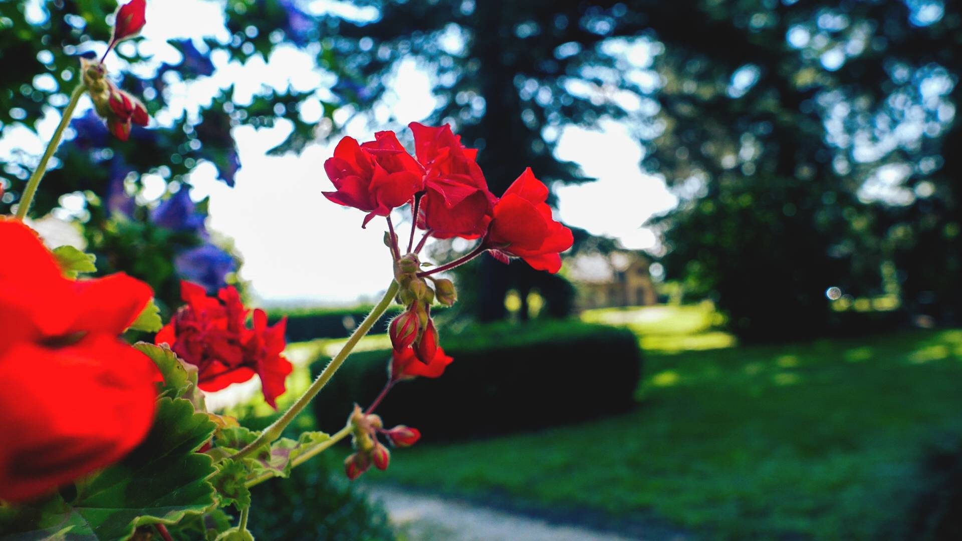 villa-la-sorridente-8